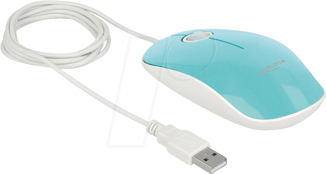 DELOCK 12538 - Maus (Mouse), Kabel, USB, türkis