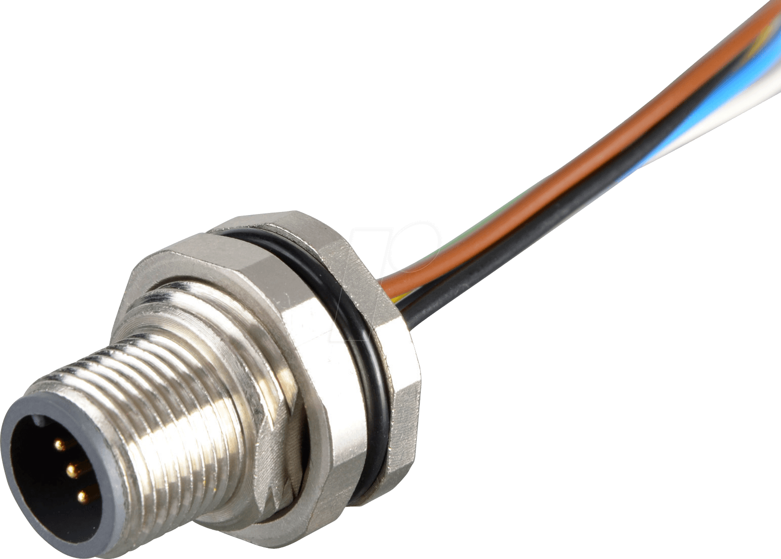 SAL12 FSH50 - SAL M12x1, 5-pol, Flanschstecker