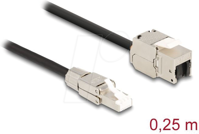 DELOCK 87203 - Keystone Kabel RJ45 Stecker > Buchse, Cat.6a, 25 cm