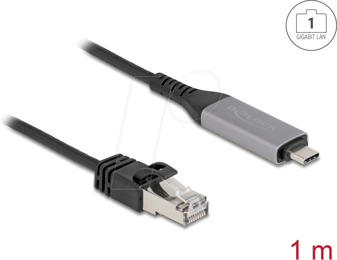 DELOCK 60759 - Netzwerkadapter, Kabel, USB Typ C, Gigabit Ethernet, 1 m