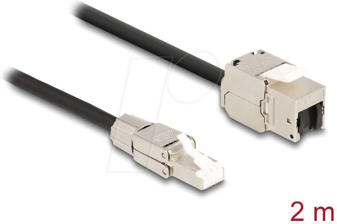 DELOCK 87209 - Keystone Kabel RJ45 Stecker > Buchse, Cat.6a, 2 m