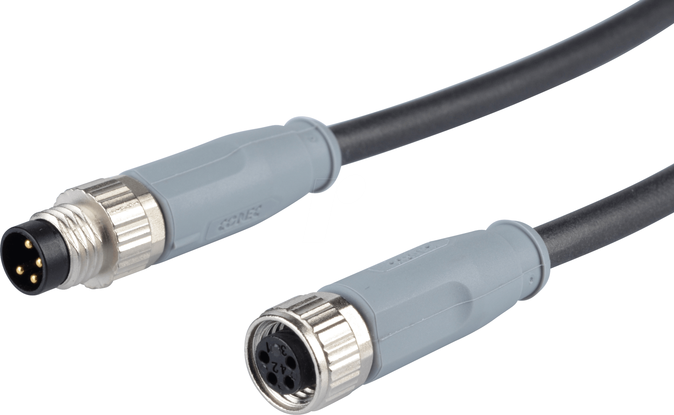 SAL8 RK41,5 - SAL M8x1 - 4-pol, Verbindungsleitung, 1,5 m