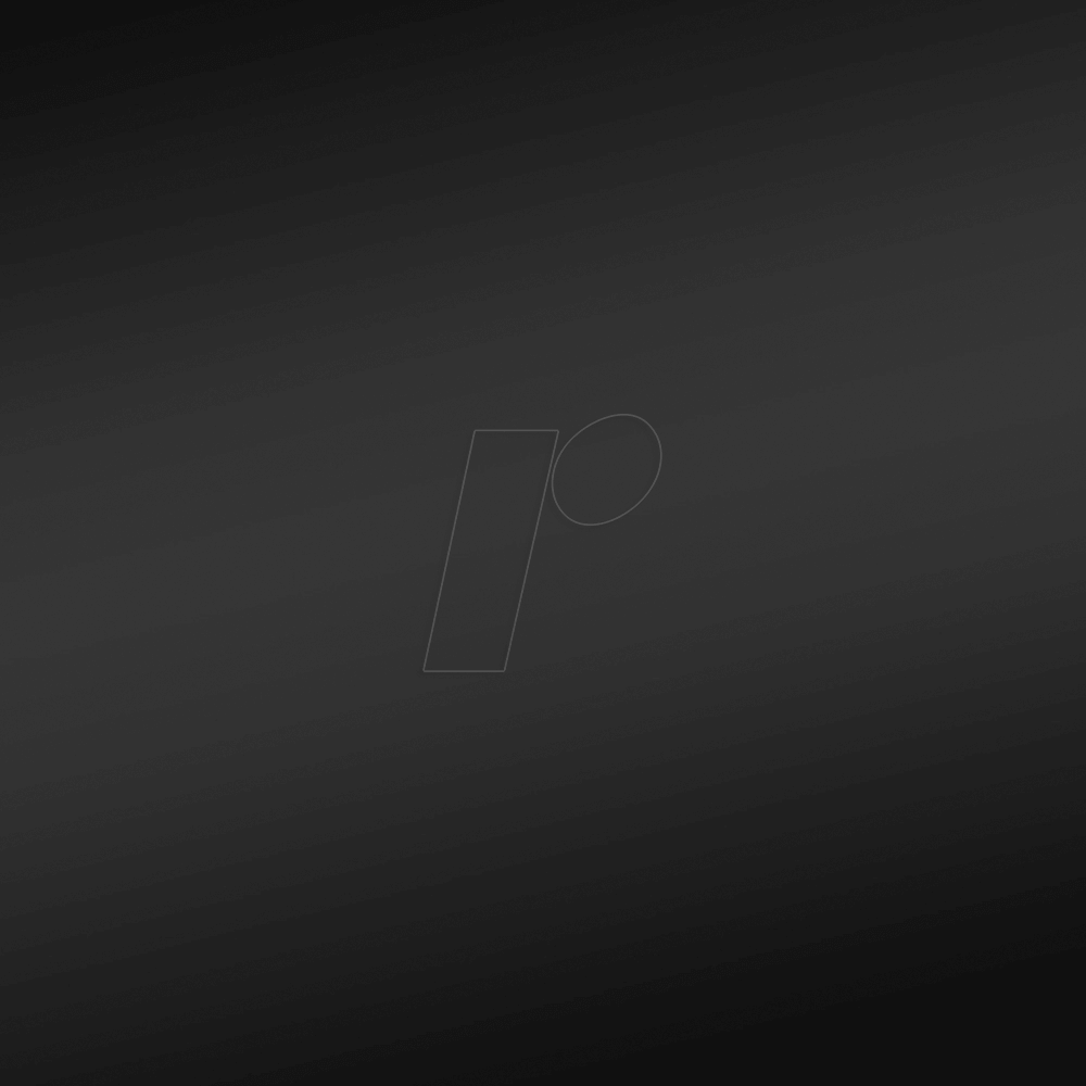 PL0101342 - Aufbügelfolie, ReFlex, 320 mm x 500 mm, schwarz