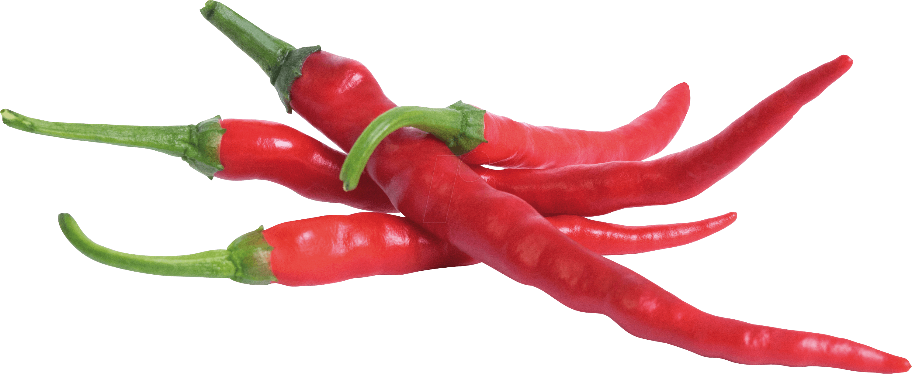 VER L5-PIM018 - Indoor Garden, Pfefferschote ''Cayenne''