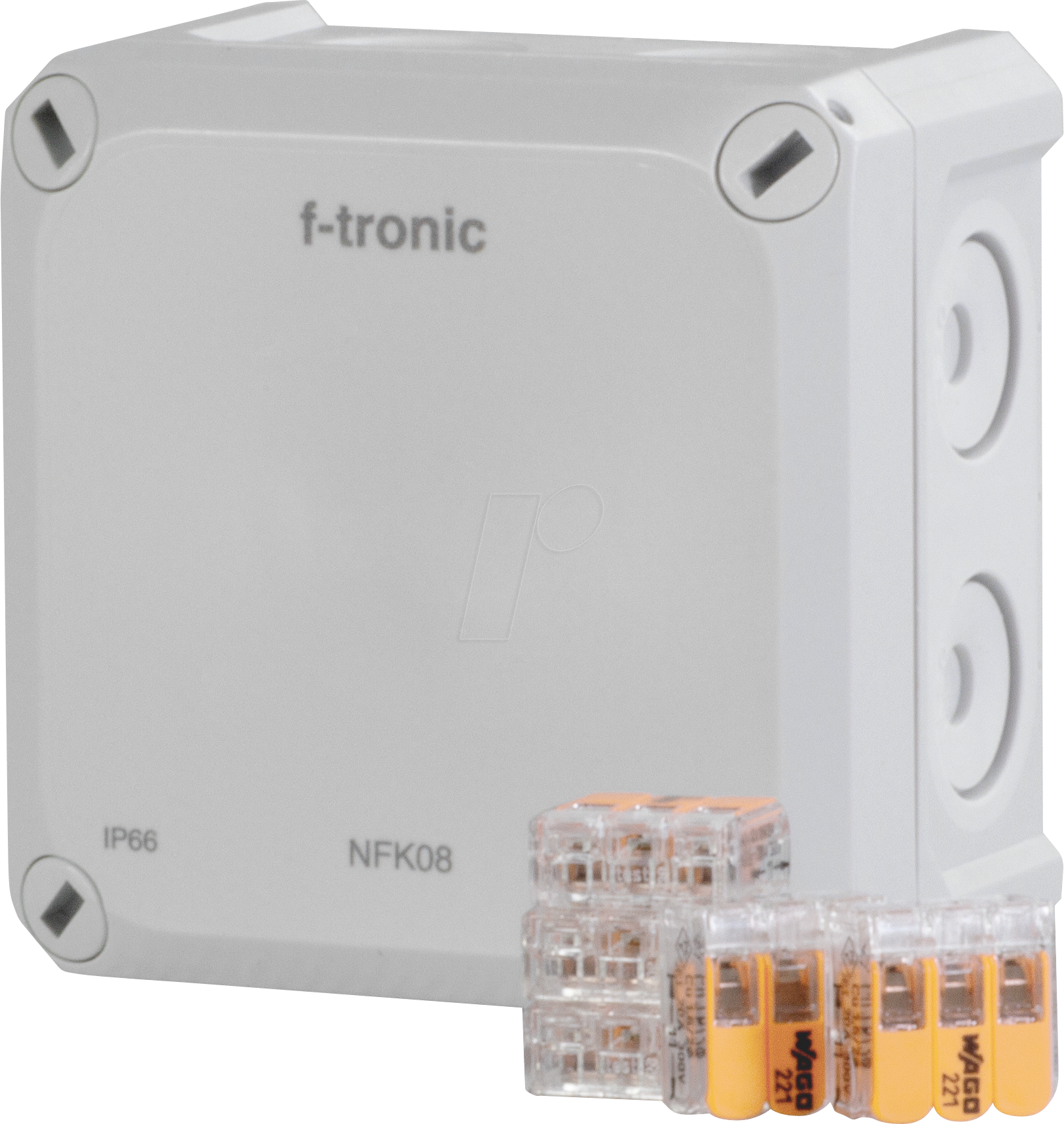 NEPTUN NFK08GR-K - FR-Abzweigkasten IP66 mit Klemmen