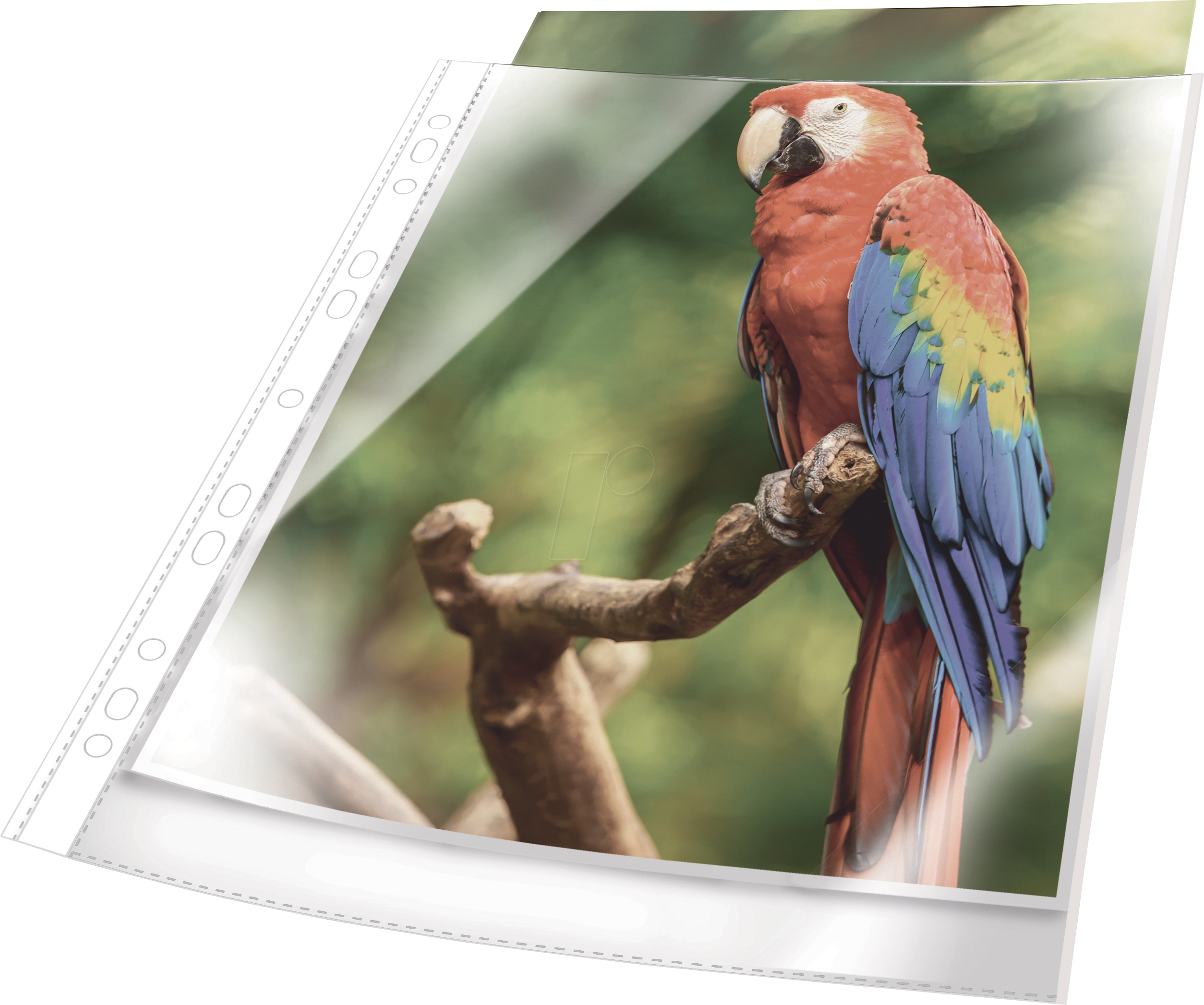 DURABLE 265502 - Prospekthüllen, A4, glasklar, weiß, 25 Stück