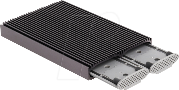 DELOCK 42028 - Externes 2x M.2 SATA/NVMe Gehäuse, USB 3.1