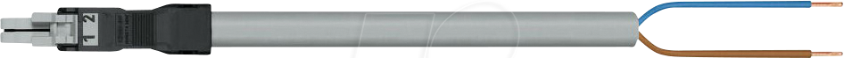 WAGO 891-215-13 - WINSTA® MINI Anschlussleitung, 2 polig, 1 m