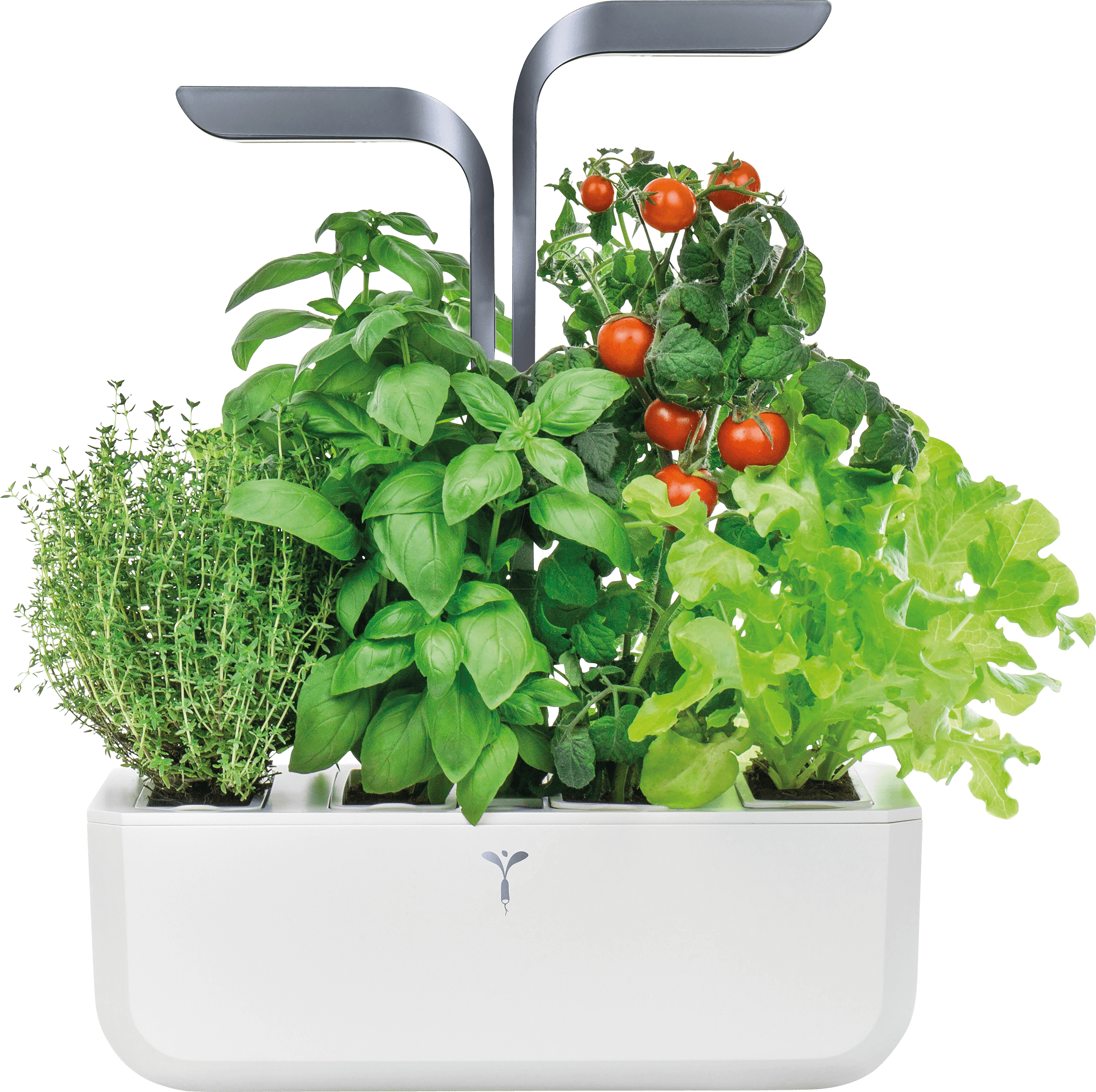 VER BAWIG-DENL - Indoor Garden, Véritable CONNECT, grau