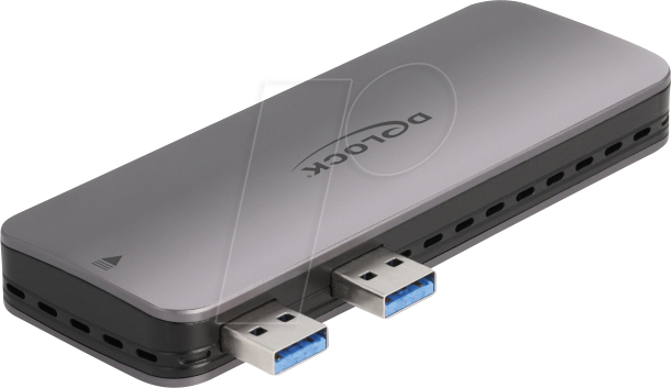 DELOCK 42013 - M.2 Gehäuse für PlayStation 5, USB 3.1
