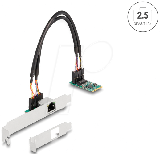 DELOCK 95272 - Netzwerkkarte, M.2, 2,5 Gigabit Ethernet, 1x RJ45