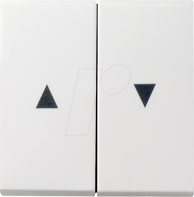GIRA55 WP2 RWM - Wippe 2-fach Pfeil Reinweiß seidenmatt