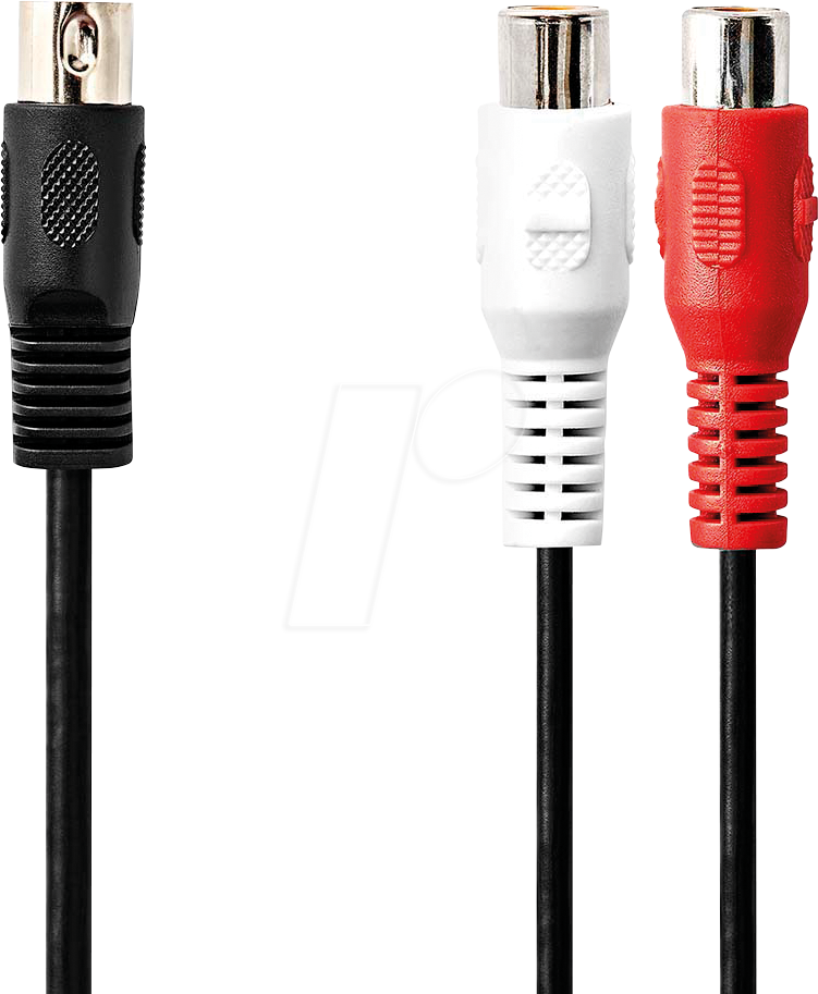 N CAGL20250BK02 - Audio Kabel, 5-pol DIN Stecker auf 2x Cinch Buchse, 0,2 m