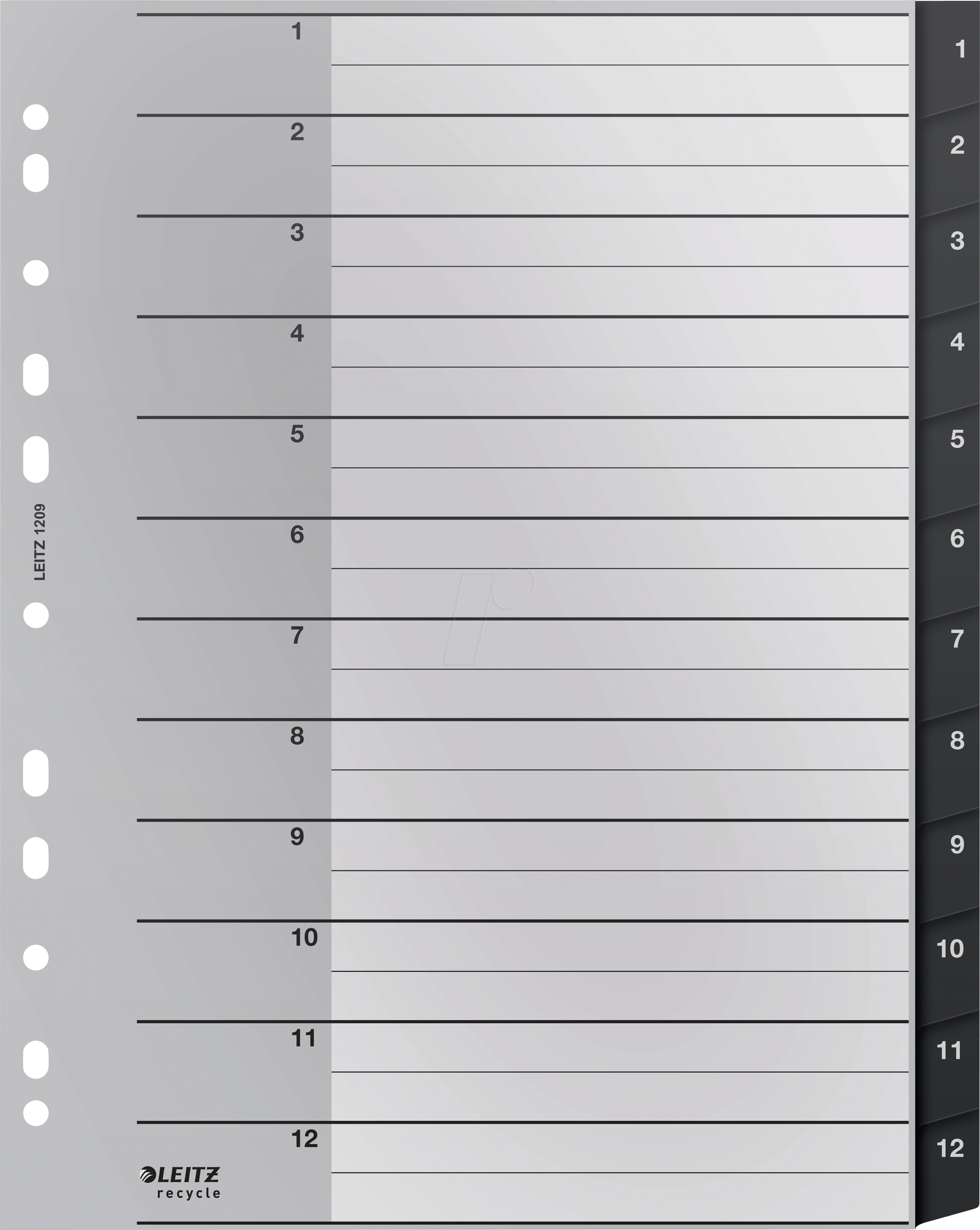 LEITZ 12090000 - Kunststoffregister, A4 (1-12), Recycle