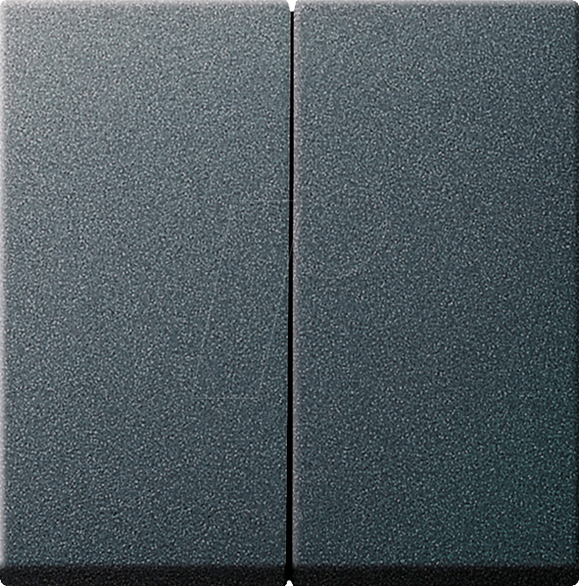 GIRA55 W2 ANT - Wippe 2-fach anthrazit