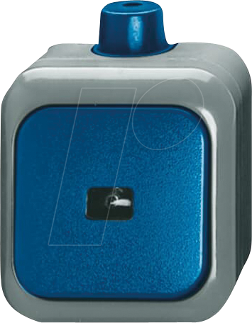 BJ 2621 WDI - Wipptaster 1-polig, Schließer (Arbeitsstrom)