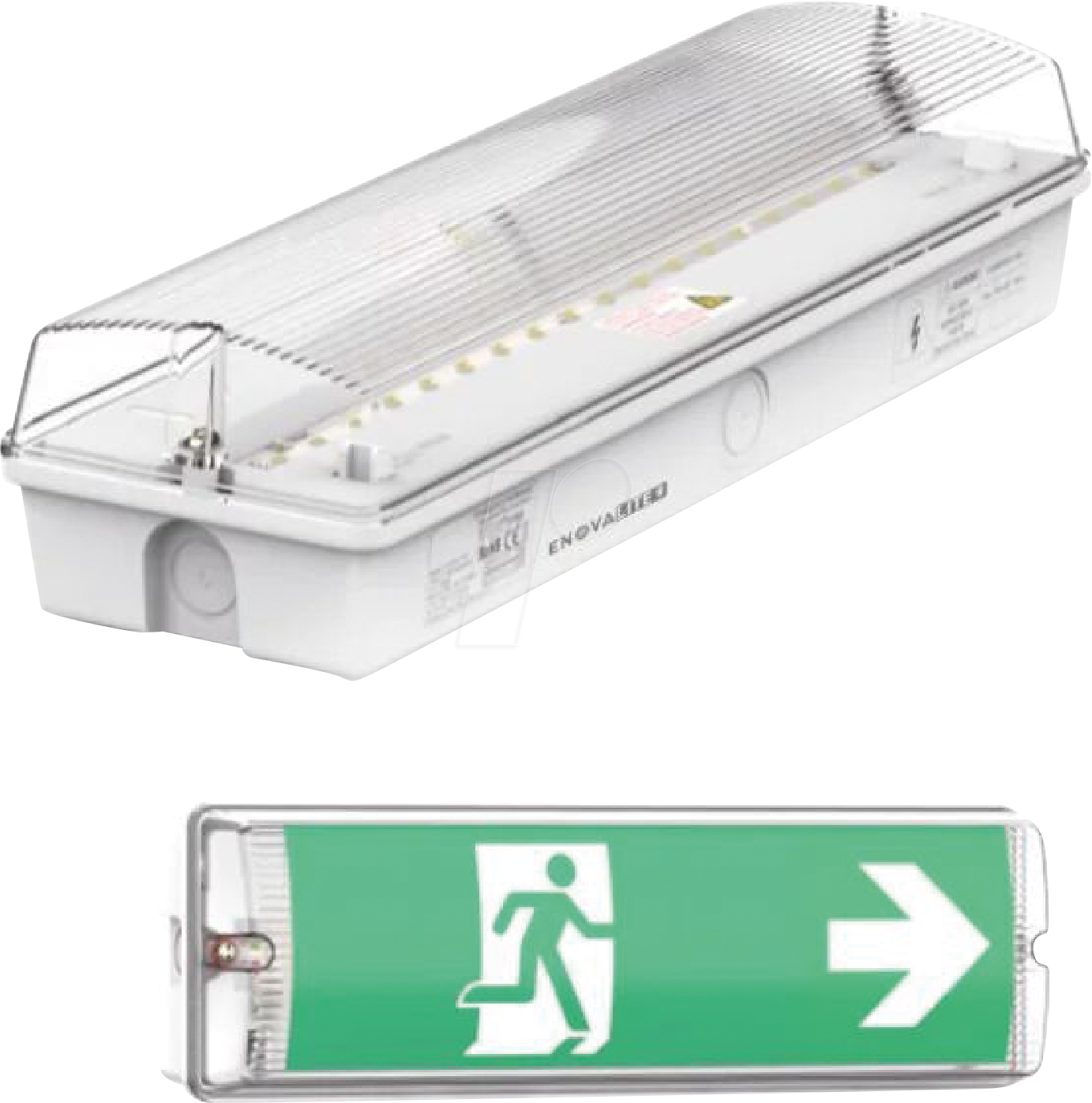 Thumbnail - ELED 200100-8H - LED-Fluchtwegleuchte, Notlicht, Wandmontage, IP65