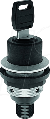 SSSA13IIC009 - Schlüsselschalter - 2 S, silber