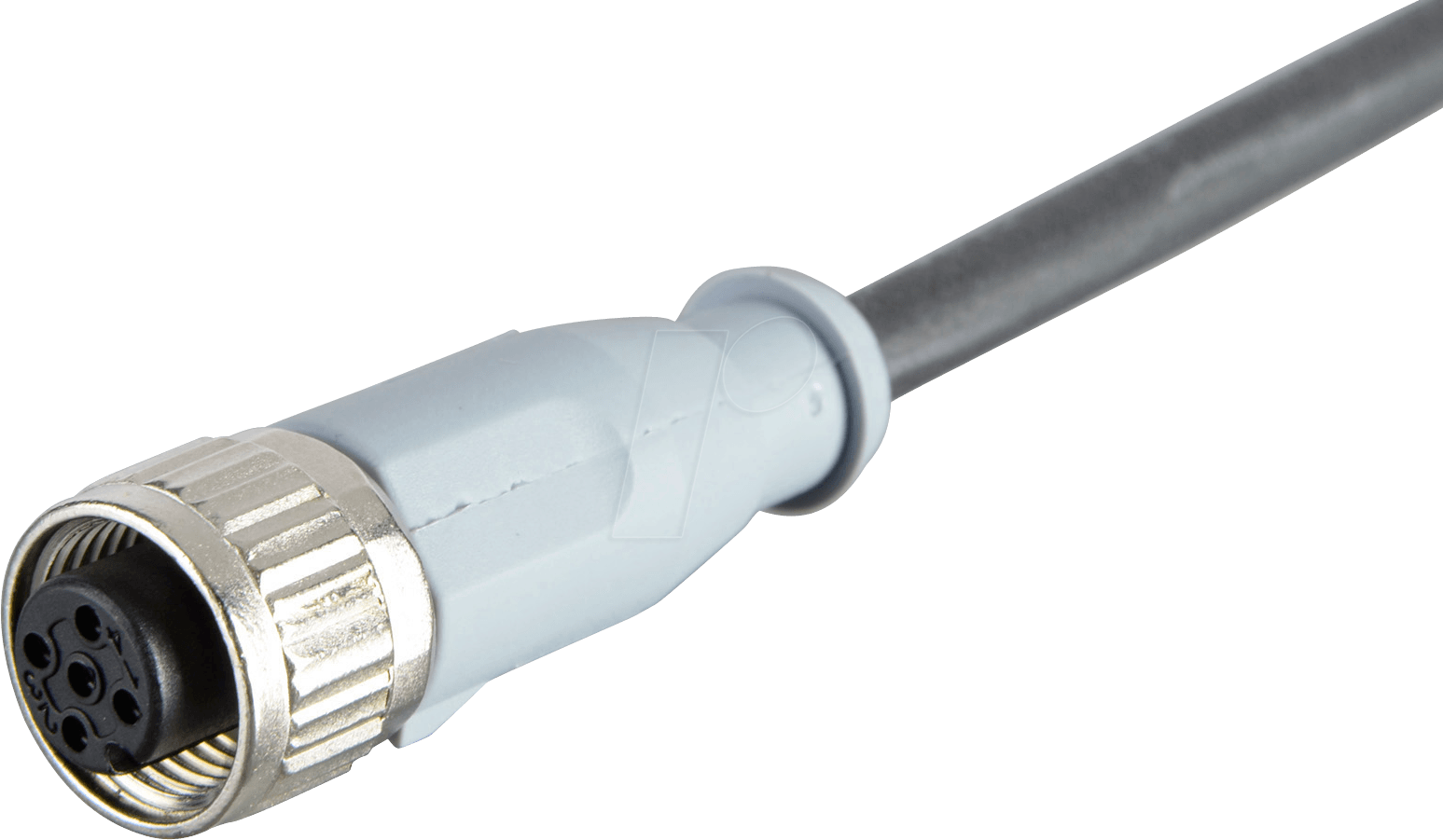 SAL12 RK52 - SAL M12x1, 5-pol, 2 m, Kabelkupplung