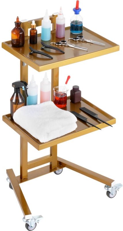 Laborwagen aus Edelstahl mit 2 Ebenen, Laborwagen mit 2 Ablagen, mobiler medizinischer Wagen mit 4 leisen Rädern, Laborr...