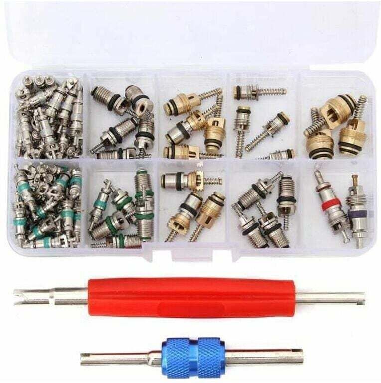 100x Ventileinsatz-Entfernungsset für R12/R134A-Klimaanlagen im Auto, Sunny