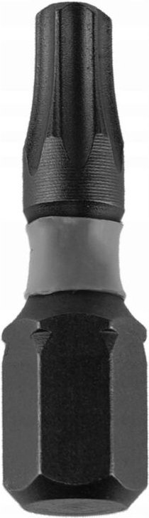 2er-Set Torx-Schlagbits 40x25 mm