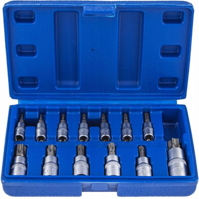 Steckschlüssel Bits Torx 1/4 3/8 1/2 T8-T70 13-teilig sechskant
