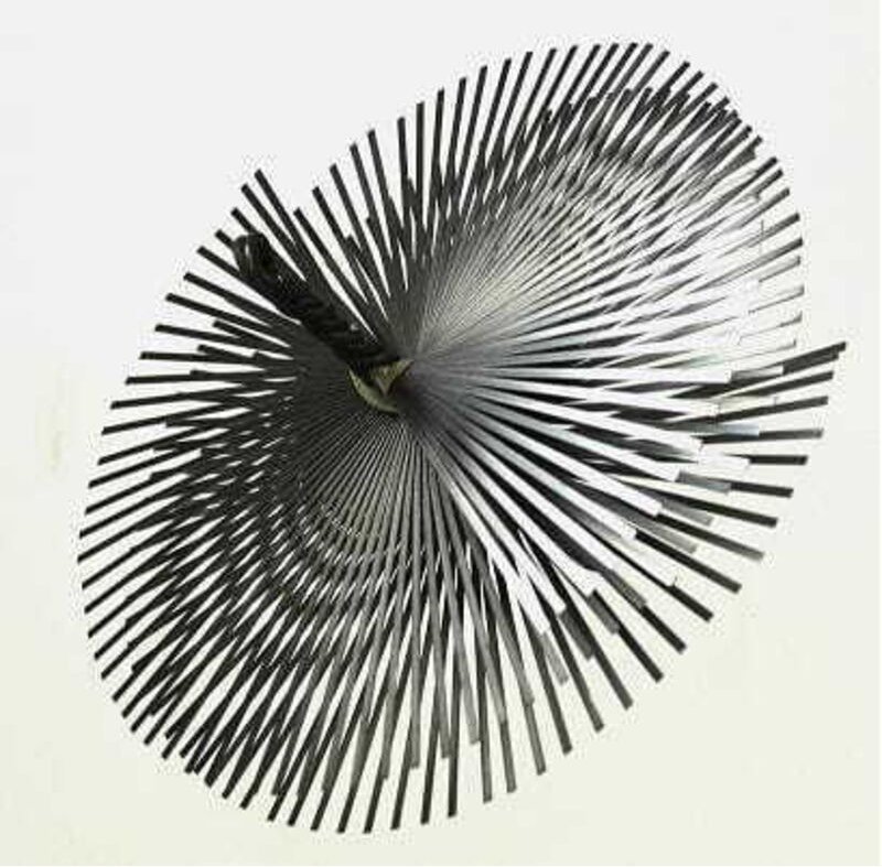 Co Cleaner Steel Wire 300