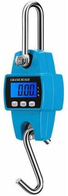 Shining House - 300 kg/50 g elektronische Kranleiter, digitale Hängeleiter, Mini-Hebeleiter, industrielle elektronische ...