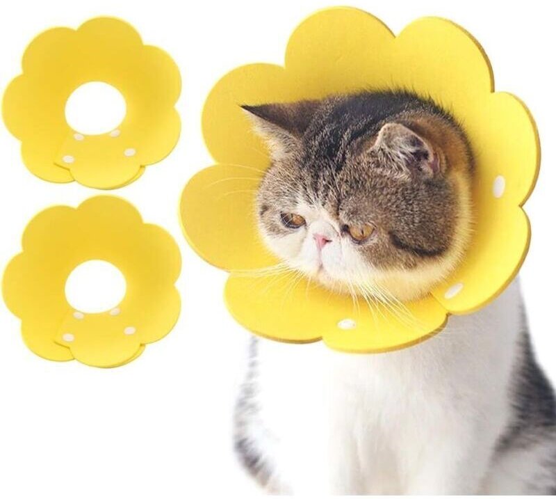 Hundekragen im Elisabethanischen Stil, 2-teiliger aufblasbarer Kragen, Schutzkragen für Haustiere nach Operationen oder ...