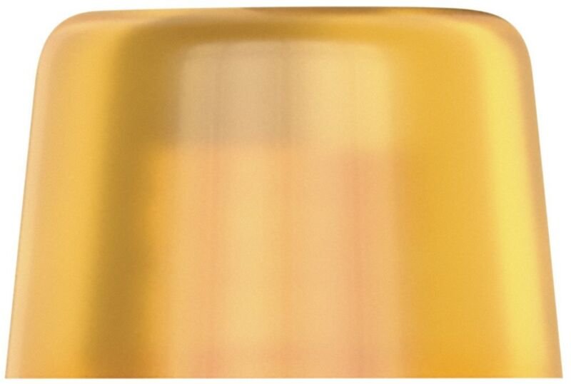 Wera - 100 l Lose Köpfe aus Cellidor, für Hammer 100, 6 x 51 mm