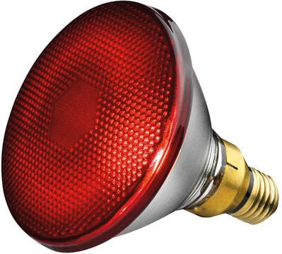 Beurer - Ersatzstrahler 150 Watt von Philips für Infrarotlampen