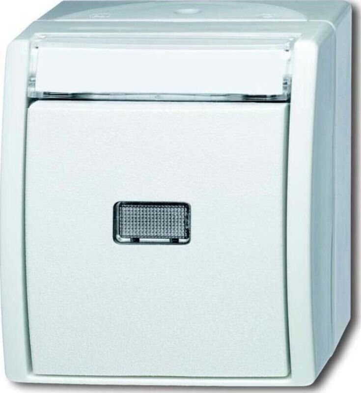 Busch-Jaeger Wipptaster mit Beschriftungsfeld Taster, Einzeltaster 1P 1 Schließer alpinweiß - ocean® (2621 WN-54-201), 2...