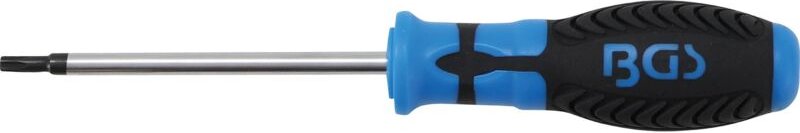 Schraubendreher T-Profil (für Torx) T25 Klingenlänge 100 mm