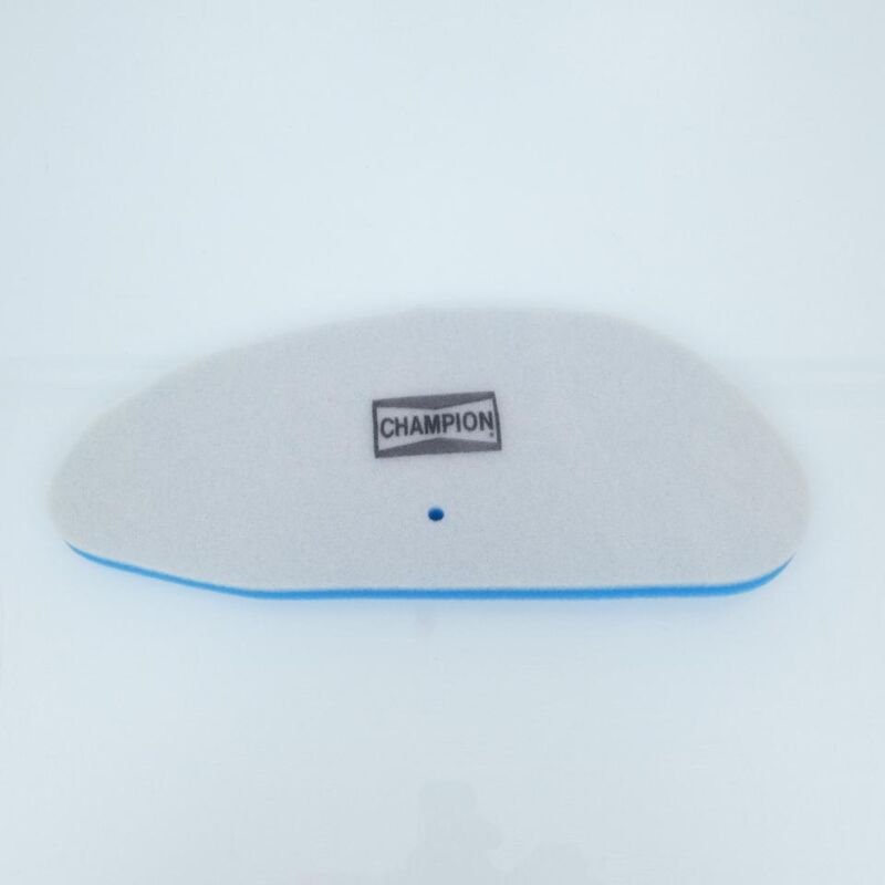 champion luftfilter für roller malaguti 250 madison s 1999 bis