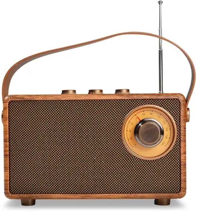 Tragbares Bluetooth-FM-Stereoradio, unterstützt USB-Disk, USB/TF-Karte, AUX-Buchse – Musikwiedergabe mit wiederaufladbar...