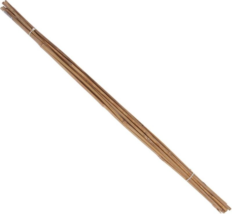 Tonkin-Pflanzstab Ø 6-8mm 90cm 10er Bund Floraworld