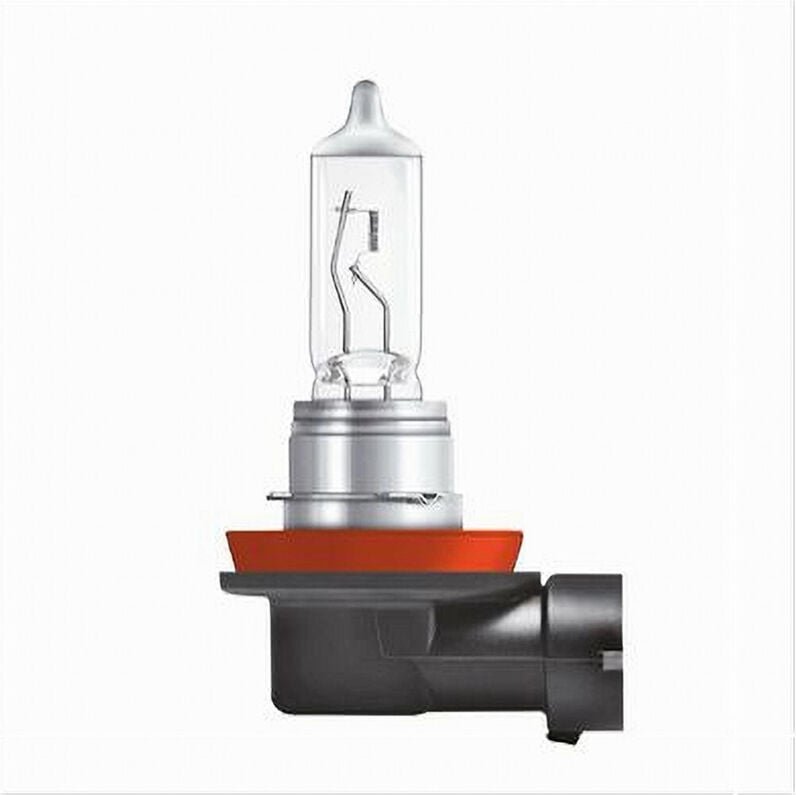 Thumbnail - Trade Shop Traesio - Trade Shop - halogenlampe H11 nebelscheinwerfer warmweiss auto motorrad 12 v 55 w H11-GX02 -