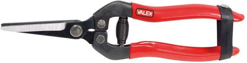 Blumengläser mit stahlschraubenlamellen 1486268