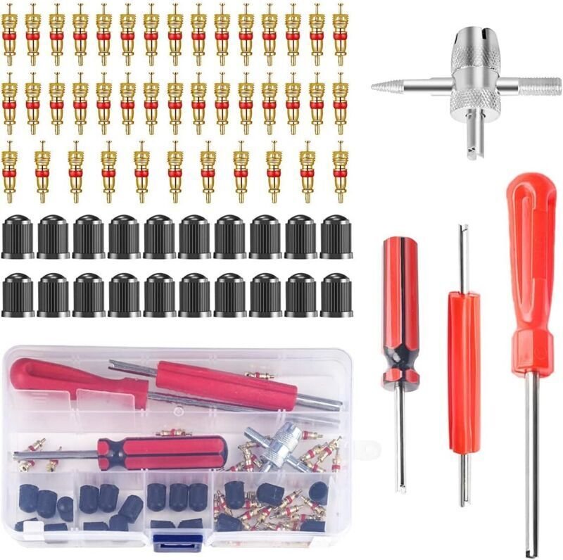 64-teiliges Reifenventil-Ausbauwerkzeug-Set – 40 Ventileinsätze und 20 Ventilkappen – Reparaturwerkzeug für Autos, Fahrr...