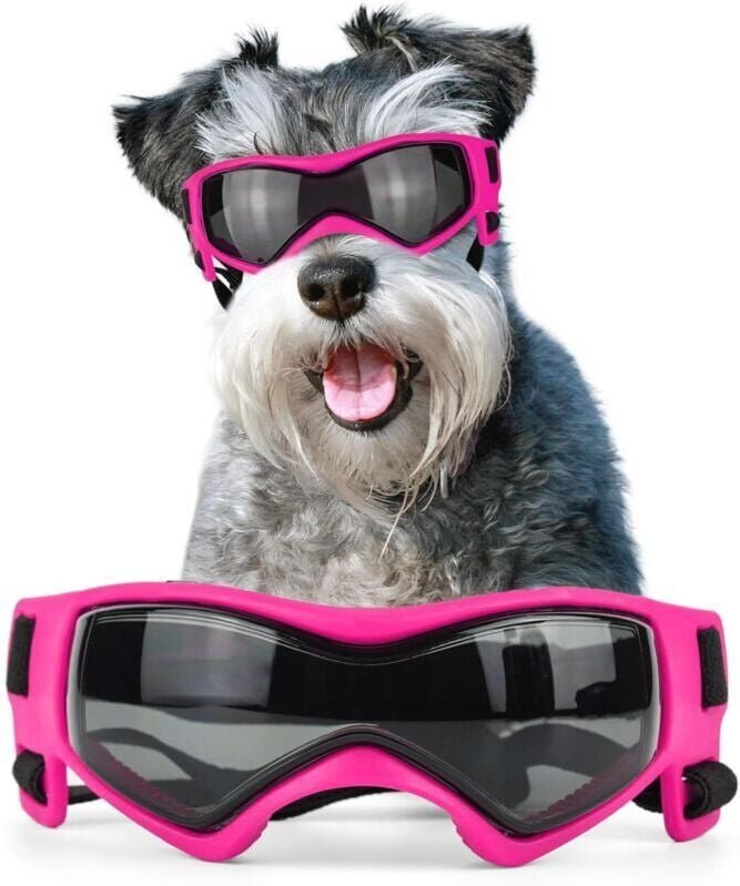 Thumbnail - Occhiali da sole per cani KZQ per razze medie, occhiali con protezione uv per cani di piccola e media taglia, antivento,...