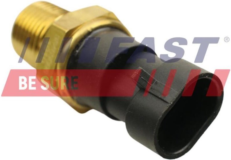 Flüssigkeitstemperatursensor Ft80106 Fast