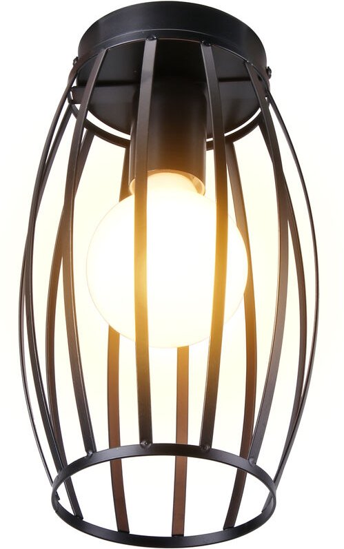 Axhup - Deckenleuchte, 1 Flammig Deckenlampe mit Ø15cm Drahtkäfig, Industraille Stil Edison Licht E27 Fassung für Wohnzi...