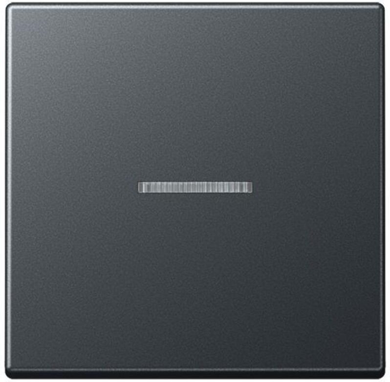 Jung Wippe 1fach, mit Lichtleiter, Thermoplast lackiert, Serie A, anthrazit matt A 590 BF KO5 ANM