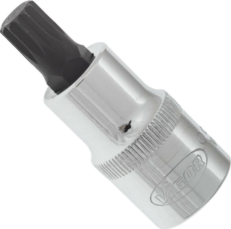 Vigor - Innenvielzahn Schraubendreher-Einsatz ∙ xzn ∙ V2098 ∙ 1/2 Zoll (12,5 mm) Vierkant hohl ∙ Innen Vielzahn Profil x...