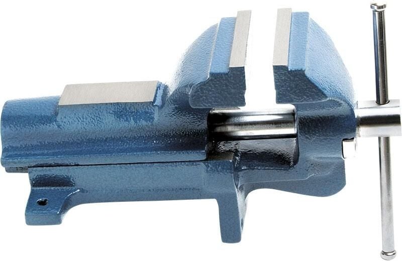 Schraubstock 100 mm aus Gusseisen Fervi 0427/100