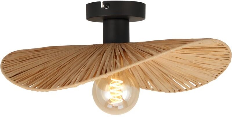 Toolight - deckenlampe APP1827-1C black