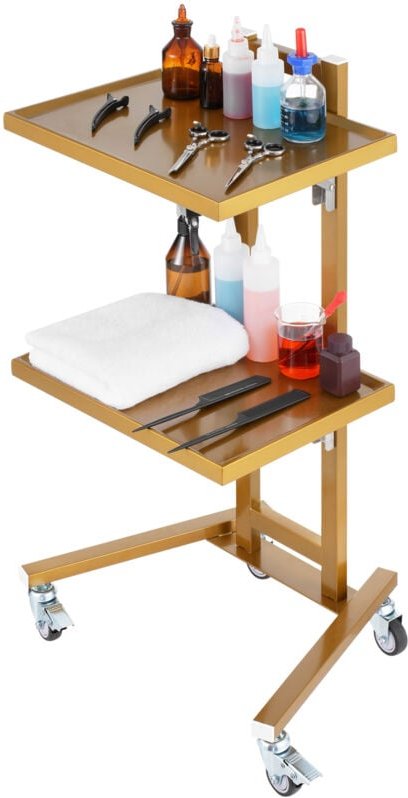 Mophorn - 2-stöckiger Laborwagen aus Edelstahl, Mehrzweckwagen mit 2 Tabletts, mobiler medizinischer Wagen mit 4 leisen ...