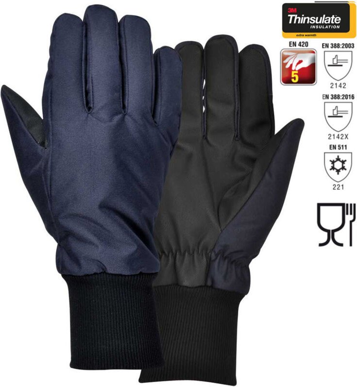 COFRA Winter Arbeitshandschuhe bis -30 °C 9 (L)