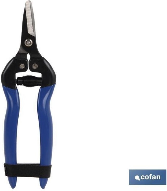 Sammelschere 165 mm gerade